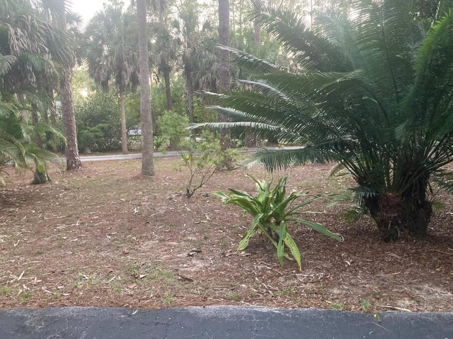 "Mia'S Place" Beautiful Private Apartment Surrounded By Nature North North Naples Extérieur photo